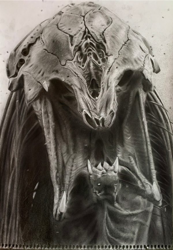 Prey Predator