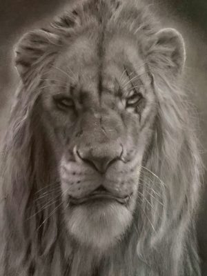 Scar