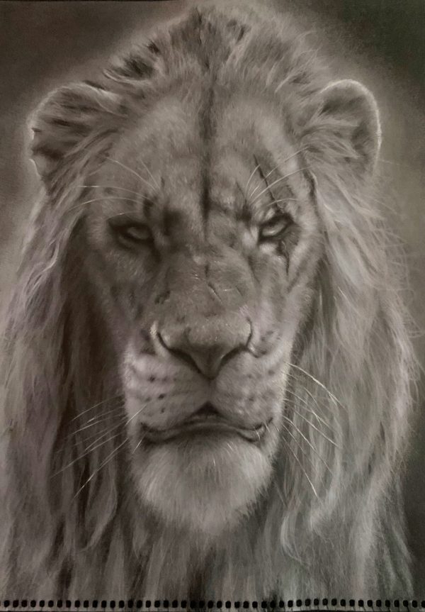 Scar
