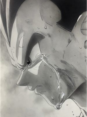 Vegeta Dragon Ball