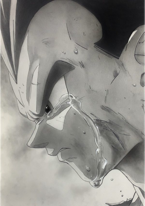 Vegeta Dragon Ball
