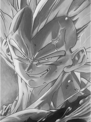 Vegeta Dragon Ball
