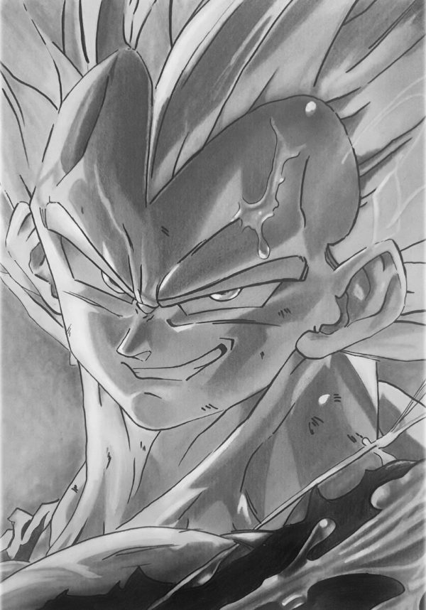 Vegeta Dragon Ball